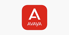 avaya